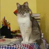 Отзыв от Ева Озерова